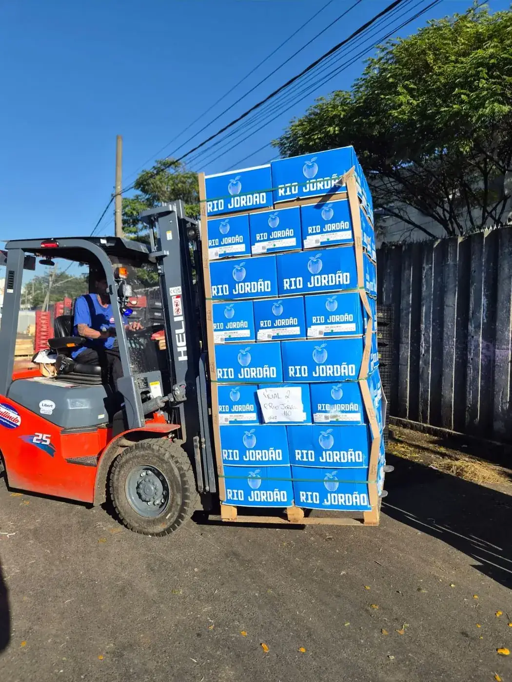 Empilhadeira movimentando pallet de maçãs na Gallindo